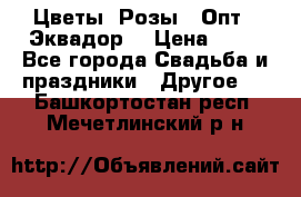 Цветы. Розы.  Опт.  Эквадор. › Цена ­ 50 - Все города Свадьба и праздники » Другое   . Башкортостан респ.,Мечетлинский р-н